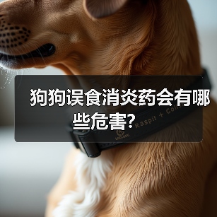 狗狗误食消炎药会有哪些危害？（图4）