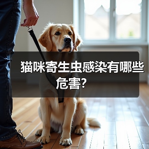猫咪寄生虫感染有哪些危害？（图1）