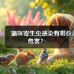 猫咪寄生虫感染有哪些危害？（图3）