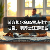 黄喉拟水龟肠胃消化能力强，喂养需注意哪些？（图4）