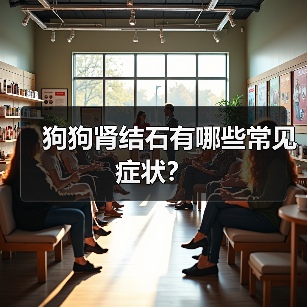狗狗肾结石有哪些常见症状？（图3）