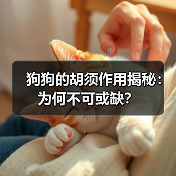 狗狗的胡须作用揭秘：为何不可或缺？（图4）