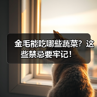 金毛能吃哪些蔬菜？这些禁忌要牢记！（图3）