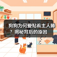 狗狗为何爱贴着主人睡？揭秘背后的原因（图2）