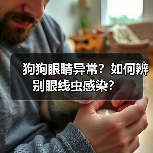 狗狗眼睛异常？如何辨别眼线虫感染？（图1）
