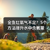 金鱼缸缺氧怎么办？5种增氧技巧详解
