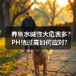 养鱼水碱性大危害多？PH值过高如何应对？（图3）