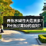 养鱼水碱性大危害多？PH值过高如何应对？（图4）