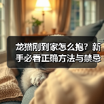 龙猫刚到家怎么抱?新手必看正确方法与禁忌(图1) 龙猫刚到家怎么抱?新手必看正确方法与禁忌(图1)