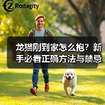 龙猫刚到家怎么抱?新手必看正确方法与禁忌(图4) 龙猫刚到家怎么抱?新手必看正确方法与禁忌(图4)