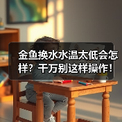 金鱼换水水温太低会怎样？千万别这样操作！（图2）