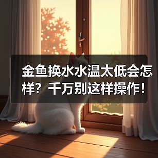 金鱼换水水温太低会怎样？千万别这样操作！（图1）