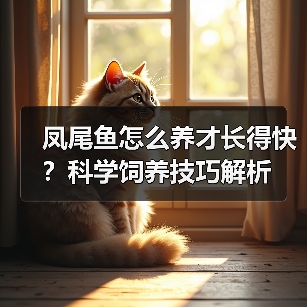凤尾鱼怎么养才长得快?科学饲养技巧解析(图2) 凤尾鱼怎么养才长得快?科学饲养技巧解析(图2)