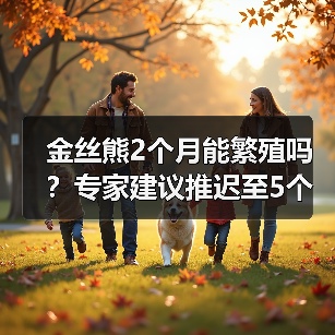 金丝熊2个月能繁殖吗？专家建议推迟至5个月更安全（图1）