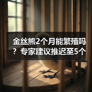 金丝熊2个月能繁殖吗？专家建议推迟至5个月更安全（图4）