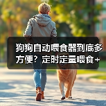 狗狗自动喂食器到底多方便？定时定量喂食+远程操控，解放主人双手！