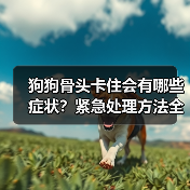 狗狗骨头卡住会有哪些症状？紧急处理方法全知道