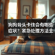 狗狗骨头卡住会有哪些症状？紧急处理方法全知道（图3）