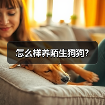 怎么样养陌生狗狗？（图2）