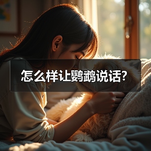 怎么样让鹦鹉说话？