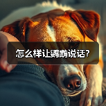 怎么样让鹦鹉说话？（图4）