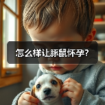 怎么样让豚鼠怀孕？（图4）