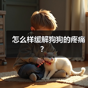 怎么样缓解狗狗的疼痛？