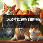 怎么样缓解狗狗的疼痛？（图3）