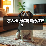 怎么样缓解狗狗的疼痛？（图4）