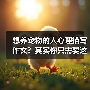 想养宠物的人心理描写作文?其实你只需要这3步(图3) 想养宠物的人心理描写作文?其实你只需要这3步(图3)