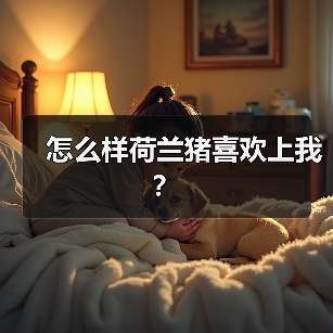 怎么样荷兰猪喜欢上我？（图2）