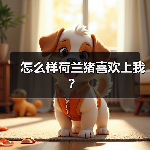 怎么样荷兰猪喜欢上我？