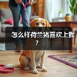 怎么样荷兰猪喜欢上我？（图4）