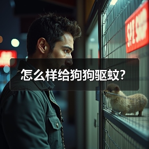 怎么样给狗狗驱蚊？（图2）