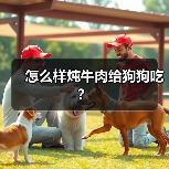 怎么样炖牛肉给狗狗吃？（图4）