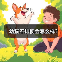 幼猫不排便会怎么样?(图1) 幼猫不排便会怎么样?(图1)