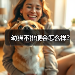 幼猫不排便会怎么样?(图2) 幼猫不排便会怎么样?(图2)