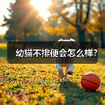 幼猫不排便会怎么样?(图4) 幼猫不排便会怎么样?(图4)