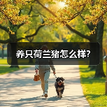 养只荷兰猪怎么样？（图3）