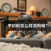 羊奶粉怎么样泡狗粮？（图3）
