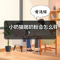 小奶猫喝奶粉会怎么样？（图3）