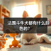 法国斗牛犬都有什么颜色的？（图2）