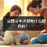法国斗牛犬都有什么颜色的？（图1）