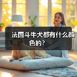 法国斗牛犬都有什么颜色的？（图3）