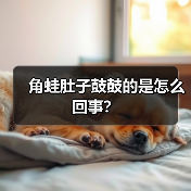 角蛙肚子鼓鼓的是怎么回事？（图1）