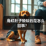 角蛙肚子鼓鼓的是怎么回事？（图4）