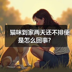 猫咪到家两天还不排便是怎么回事？（图2）