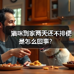 猫咪到家两天还不排便是怎么回事？（图3）