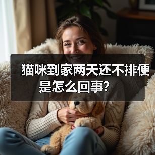 猫咪到家两天还不排便是怎么回事？（图4）