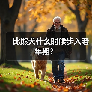 比熊犬什么时候步入老年期？（图2）